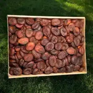 Gün Kurusu Kampanyalı (1. Kalite) 3000 gram