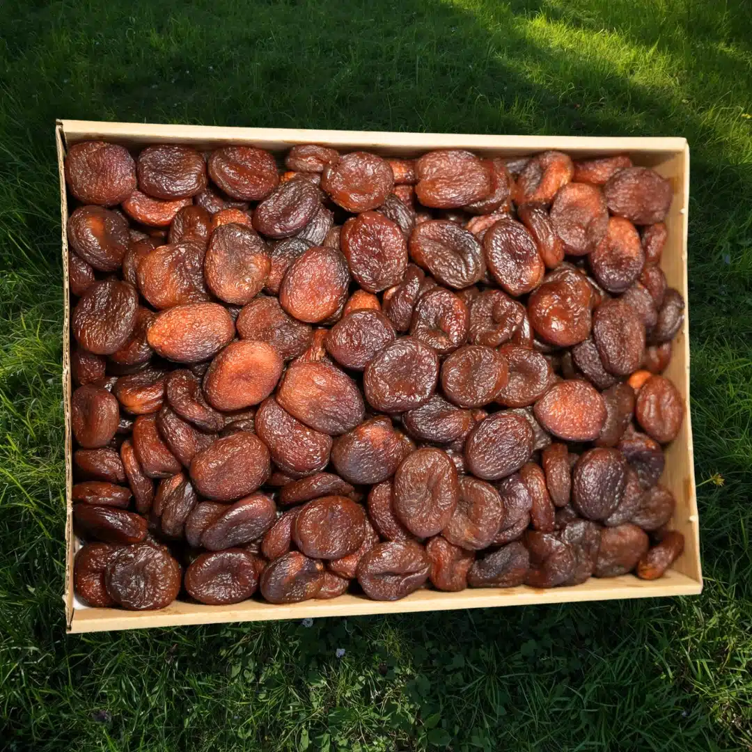 Gün Kurusu Kampanyalı (1. Kalite) 3000 gram